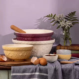 Mason Cash - In The Meadow Daisy Purple Mixing Bowl - 26cm
