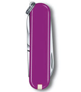 alt_1
