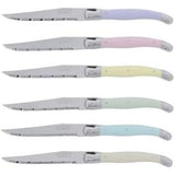 Jean Dubost Laguiole Simplicite - 12pc Steak Knife & Fork Set Pastels